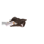 @bananafan_a