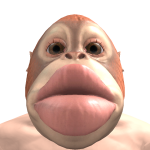 @tofuuforstaken123456