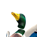 @QuackSlapz