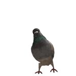 hbejebbe