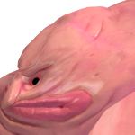 @Blobfisaheem