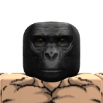 @joshkrzy