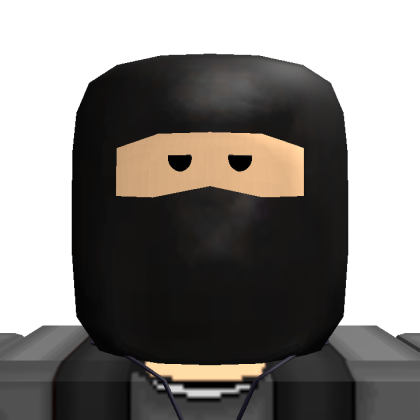 Roblox profile picture for @intl