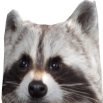 @claralachos_pro2020