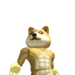 @MrDoge1027