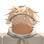 @zaakrts