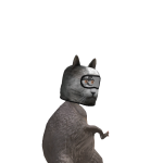 @Abi_123lovecat