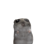 @4rch4ngelx