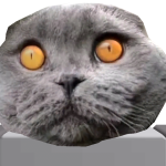 @aterasou