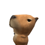 CAPY