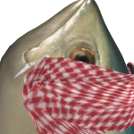 @SaqibTheGanster