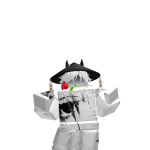 @acebru1111