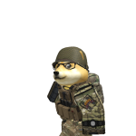 @Doge_murl