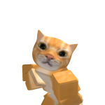 @roblox_user_4381568443
