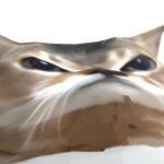 @C1ORD
