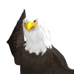 @roblox_user_2252916385