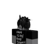 @112244noob