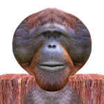 @mkjjjdhdhf