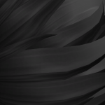 ankbebekk's avatar