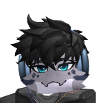 @shen6666