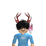 @princeAyden10000