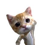 @ThatLazyKoala