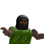 @Roblox_Ninja996