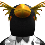 @Ioggann