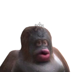 @awhalohaii11