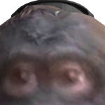 @Drewboy2332