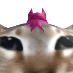 @makowaii