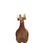 @baconsauseo