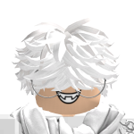 @NOISYRBLXX