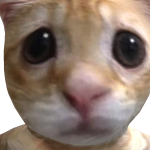 @ovbmde