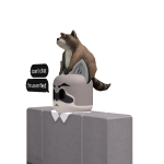 @RaccoonBoy8000