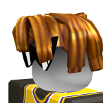 @ninjarobot2013