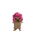 @ameIiaspIanet