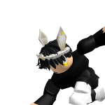 @ninja12345678911234