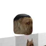 @Rexy_365