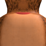 @marcosmatheusgf