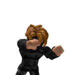 @LDD_goose