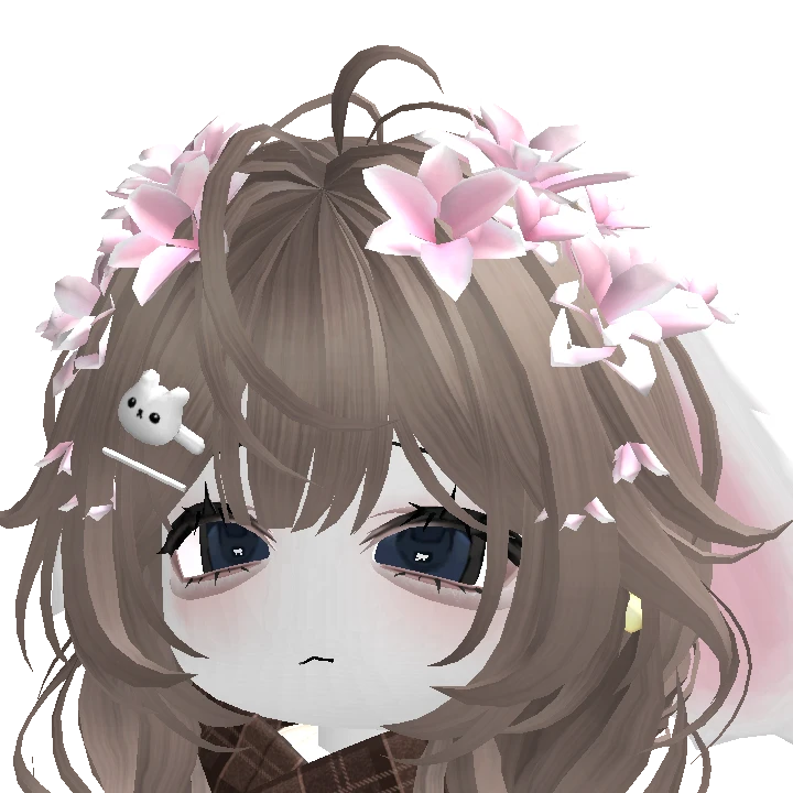 DNLTNL24