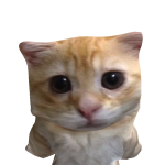 @internetxloozer