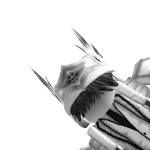 @roblox_user_2250536135