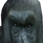 @Dustin54211