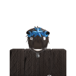 4tweak Roblox avatar