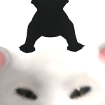 @gurguritok
