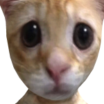 @0h3l1