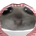 chomik
