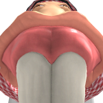 @MinionObama